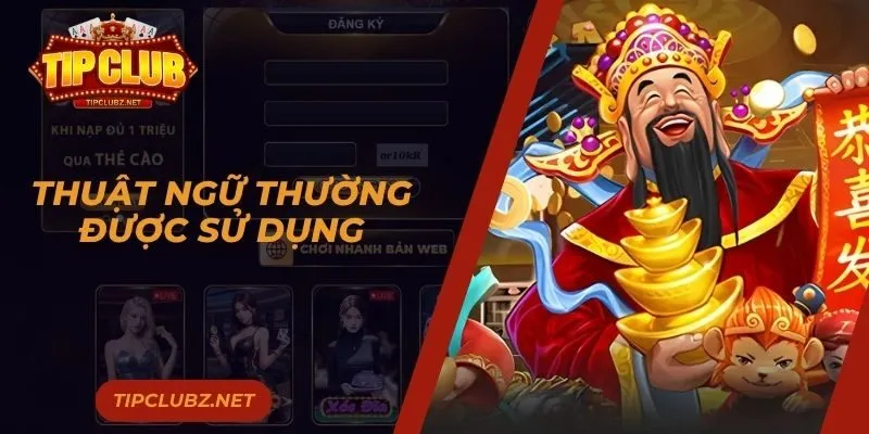 Thuật ngữ thường được sử dụng
