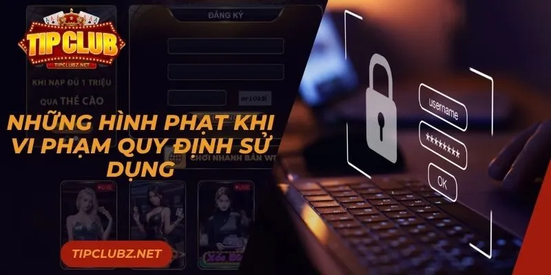 Những hình phạt khi vi phạm quy định sử dụng