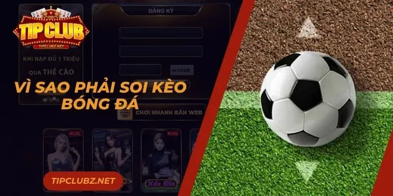 Vì sao phải soi kèo bóng đá